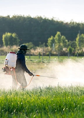 การเกษตร